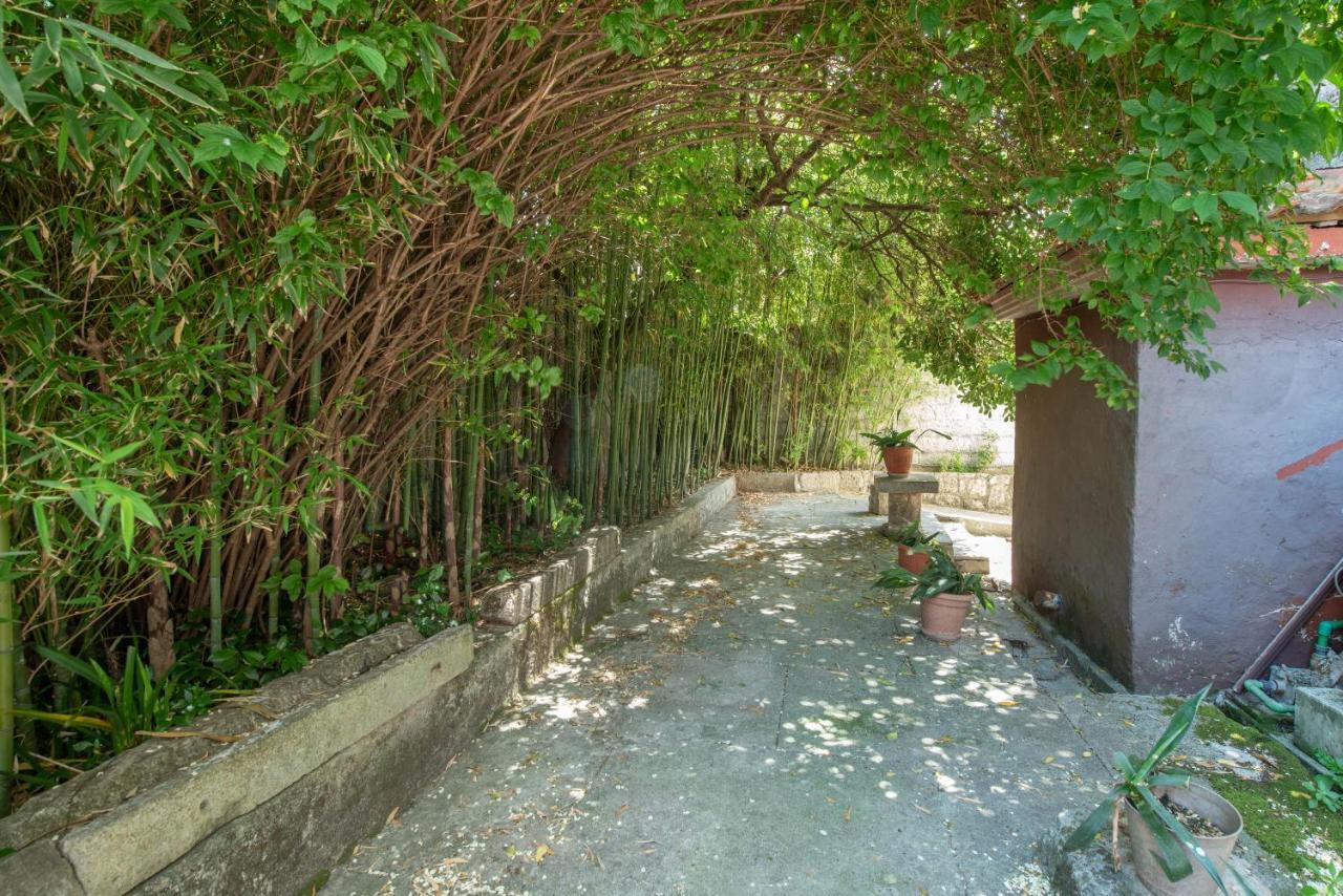 Apartments Radimir Kotor Eksteriør billede